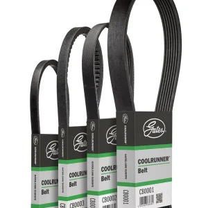 Pasek klinowy GATES CB0021 Wysoka jakość
