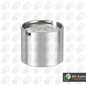 Szybka dostawa Popychacze zaworowe BGA CF6896